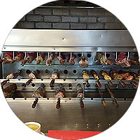 Churrasqueiras e coifas para restaurantes|Nova Gelart